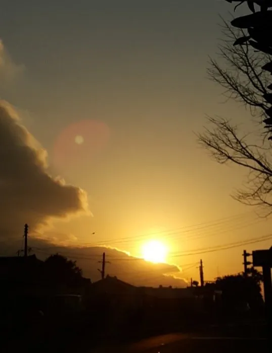 81a51e97-1a3f-4978-a873-efb6429c85ad.jpeg