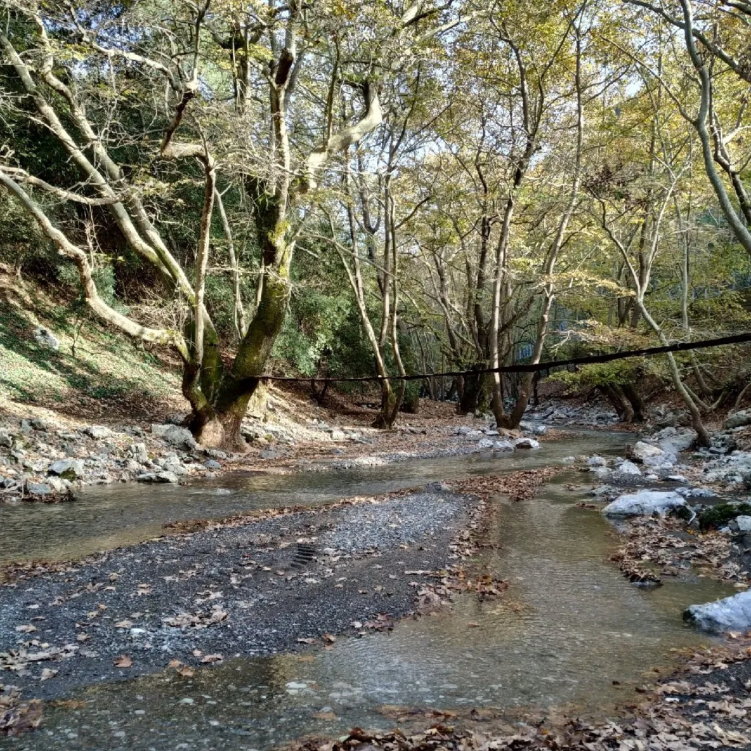 85f90733-3bf9-4cec-b32b-c2d8353c0c92.jpeg