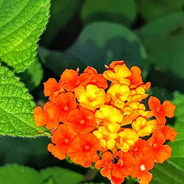 863886a7-995b-4afb-ba98-46f97150e764.jpeg