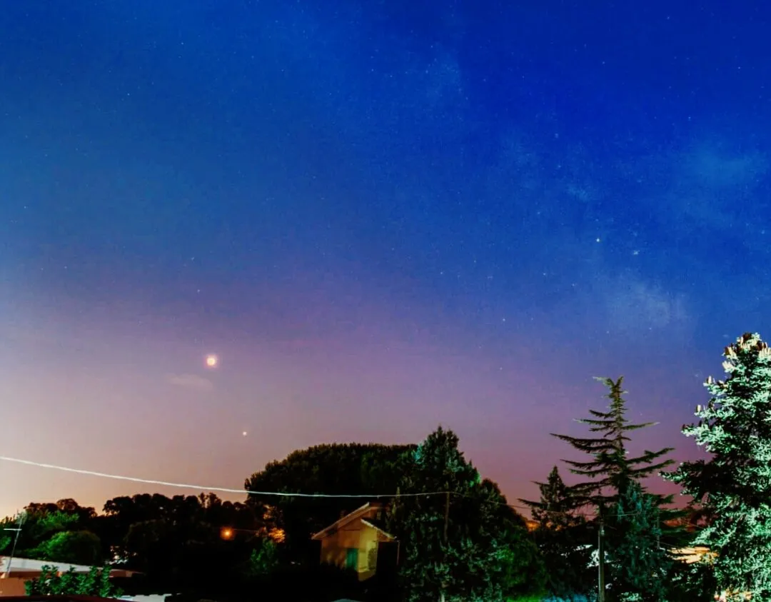 874c2687-c78e-4dd0-8906-8f93f715ba0e.jpeg