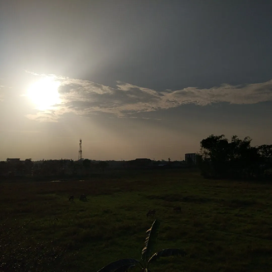 87bb05b7-1830-44e9-b7e6-9a0ec984bcd4.jpeg