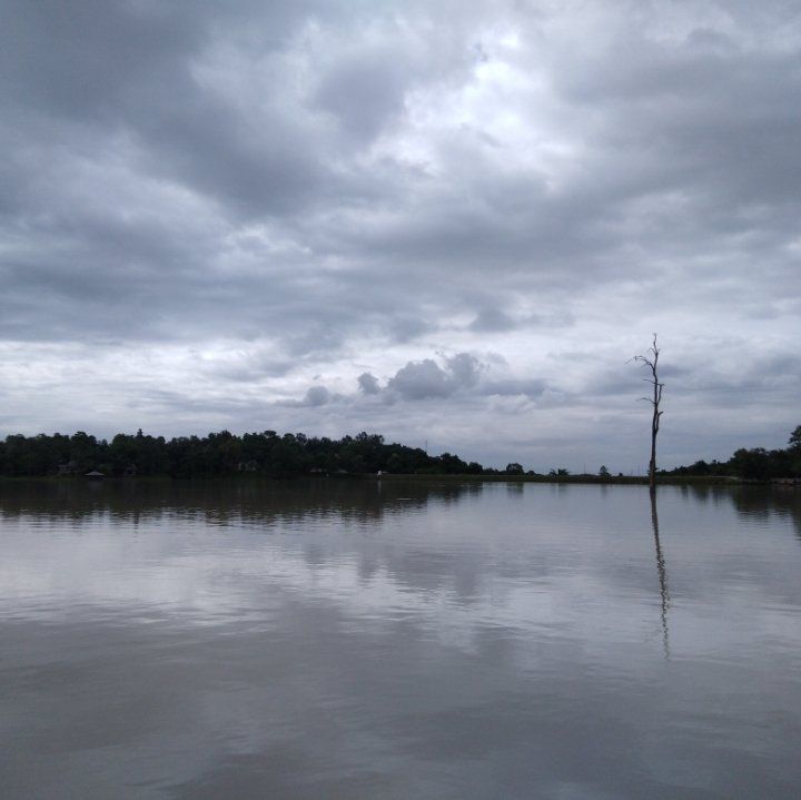 885c0890-7fdf-477a-a268-1359b4553df7.jpeg