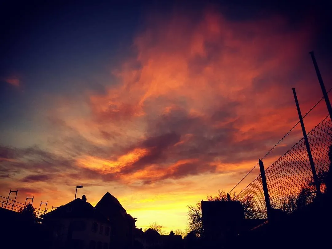 88837988-755f-4218-b29e-4283b88cb129.jpeg