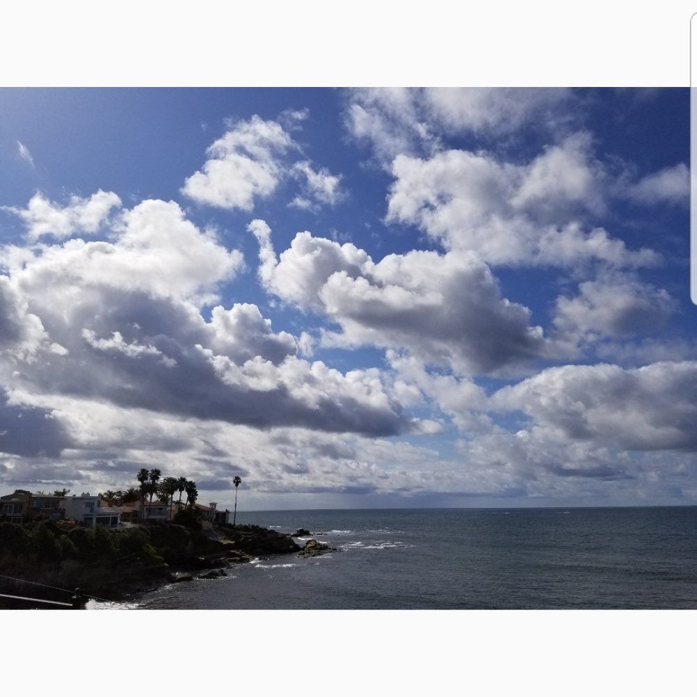 8b53a08d-896c-4d19-9b3c-b0ee3ba26096.jpeg