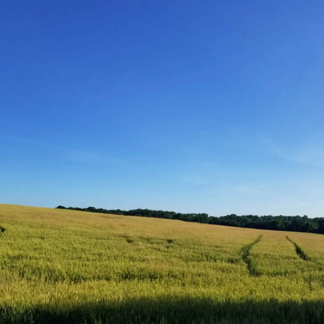 8ea8e8ae-0828-4d1d-81ce-3239aad80b56.jpeg