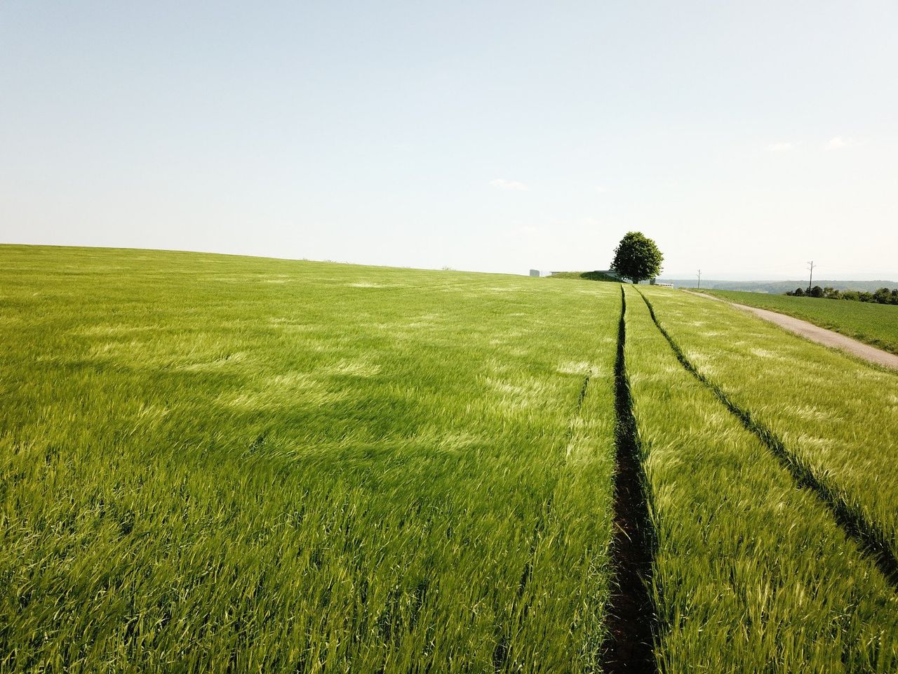 8f08b013-542b-451c-86ec-77d5fceca30e.jpeg