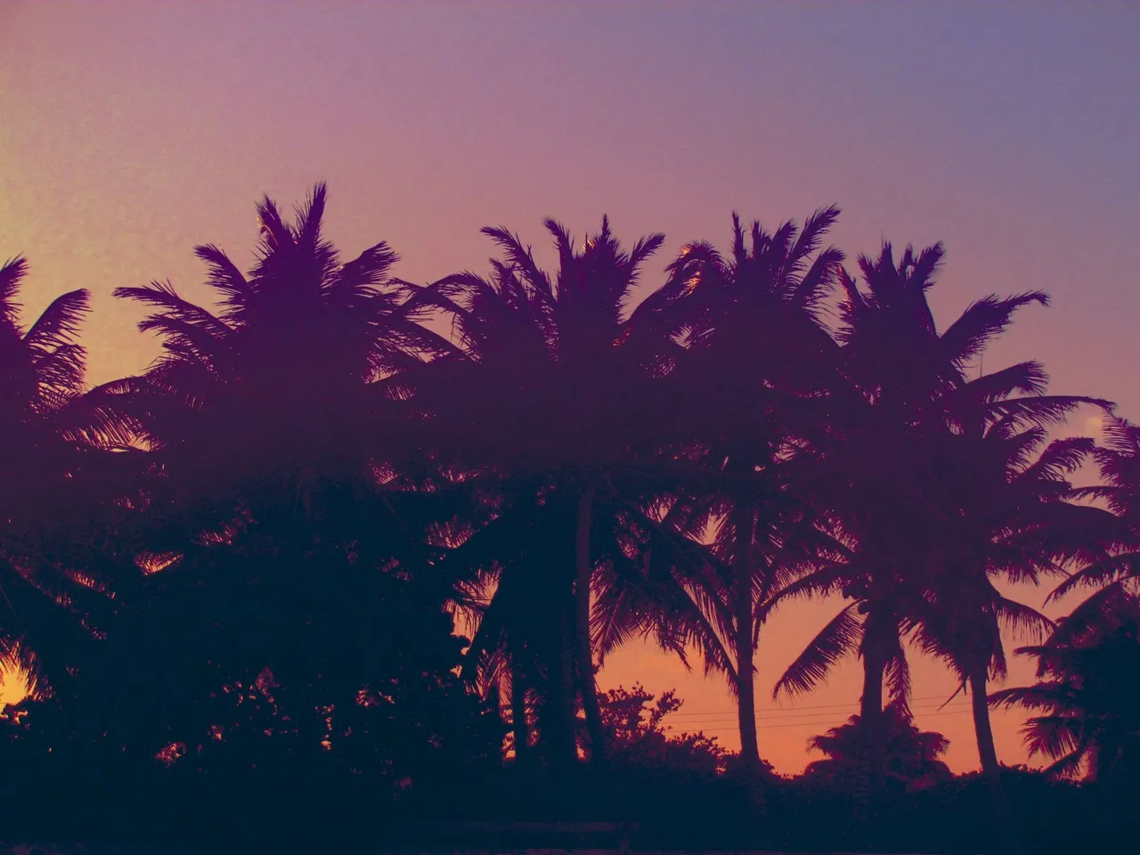 98616b54-b458-4c99-b5d3-505bd99a7f45.jpeg