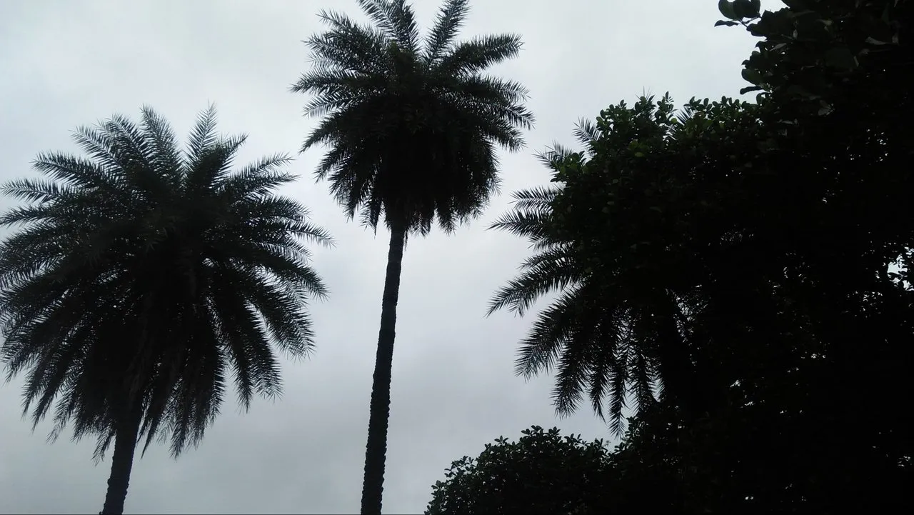 9cfcdfa8-bb83-4014-b6ab-5e74dae5d792.jpeg