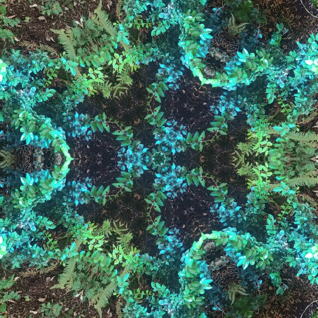 9d364a62-65d1-4a17-820e-86579ae373c5.jpeg