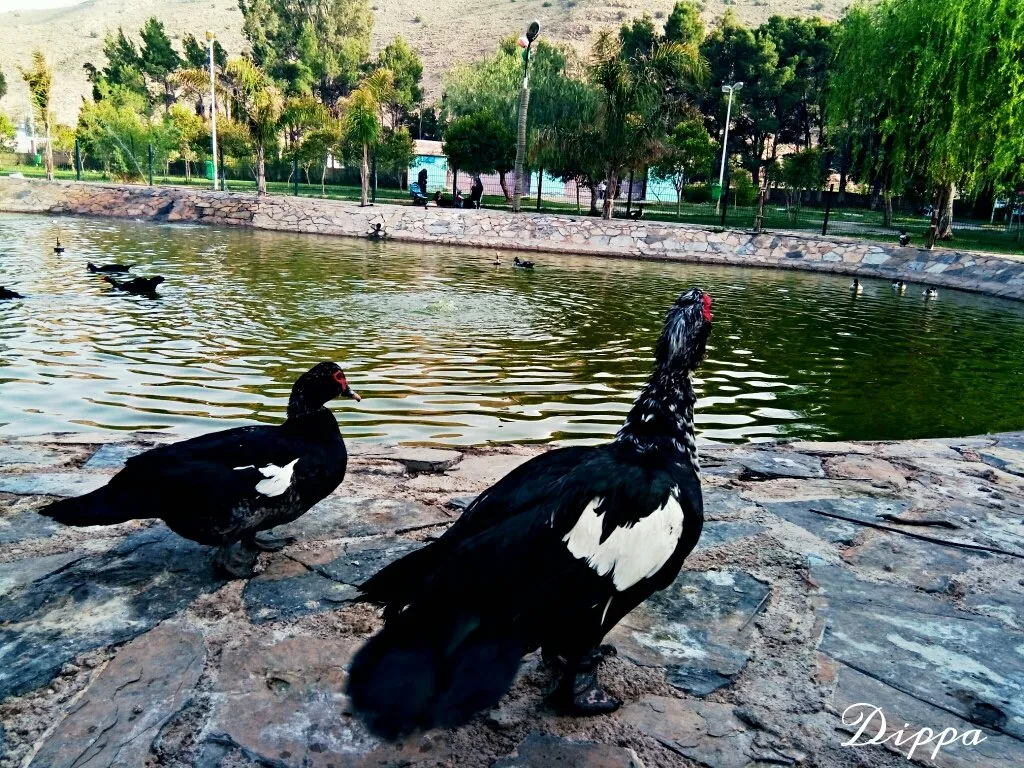 9edf82ab-baa3-42ea-bd0a-004a2fcad0d5.jpeg