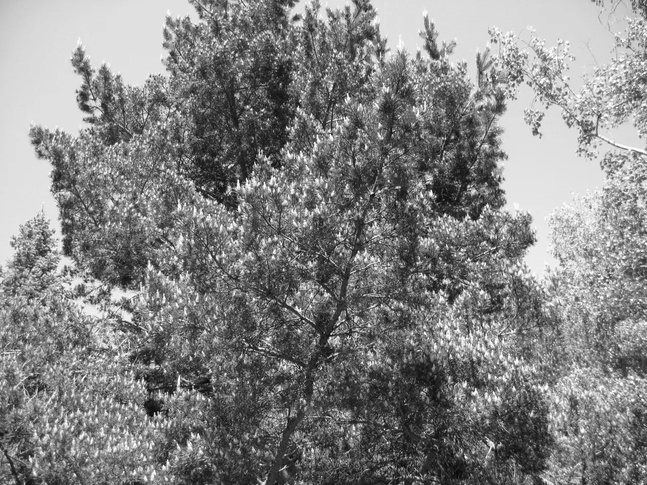a088831e-bd8a-4628-a964-a4266a81044a.jpeg