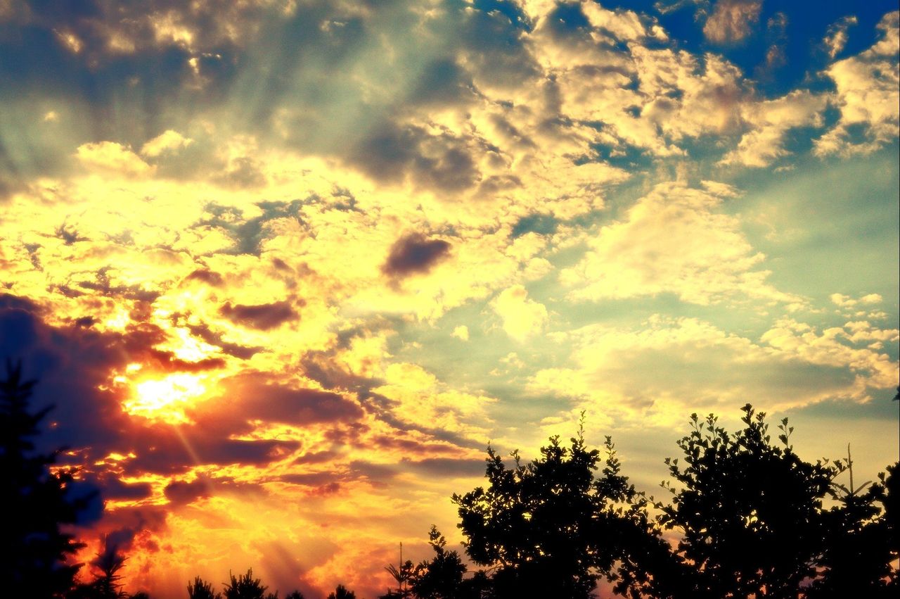 a6bbacc2-08c8-4201-af3c-401a41d1b447.jpeg