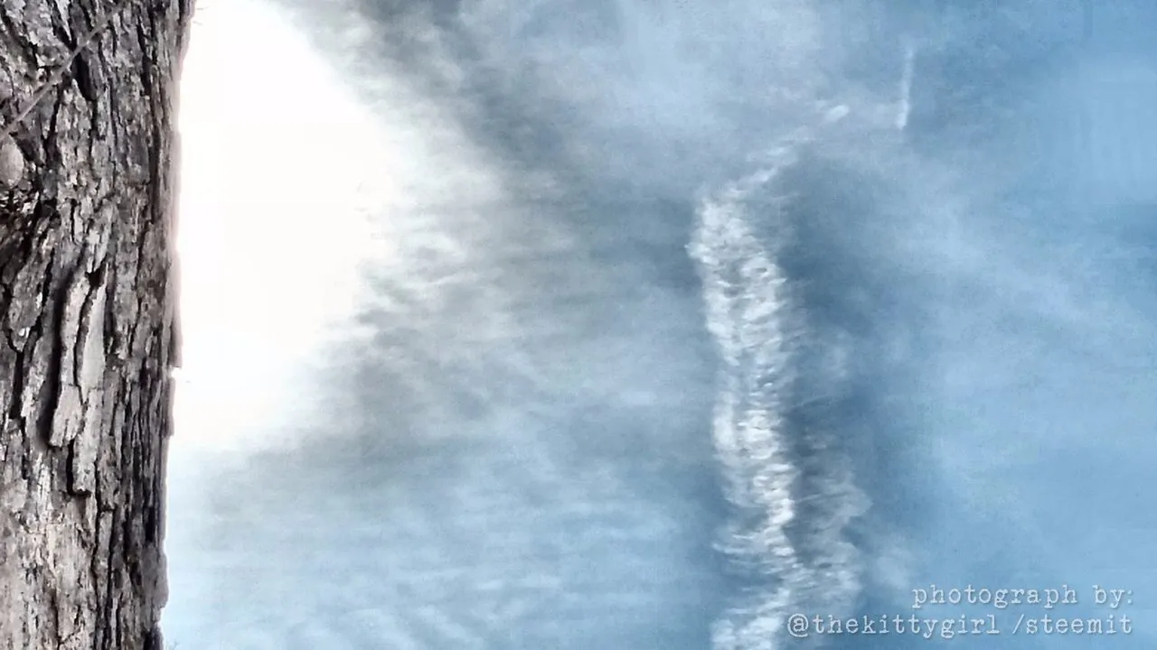 aad610e2-274d-4170-b98c-957ce3f6aca6.jpeg