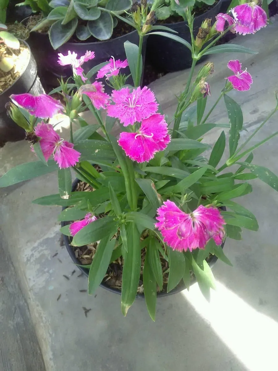 ad50be0b-f159-4720-a625-779489aa1626.jpeg