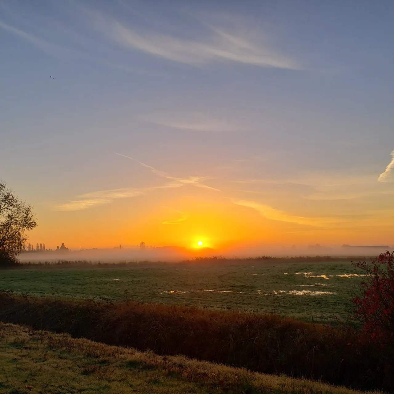 ad6d2075-ebd9-4c0d-9970-ce6dbe5a7c82.jpeg