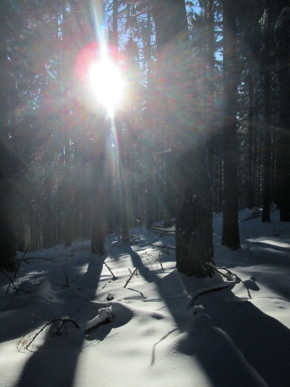 aeb875ca-56b0-40c0-b801-aa18e861e778.jpeg
