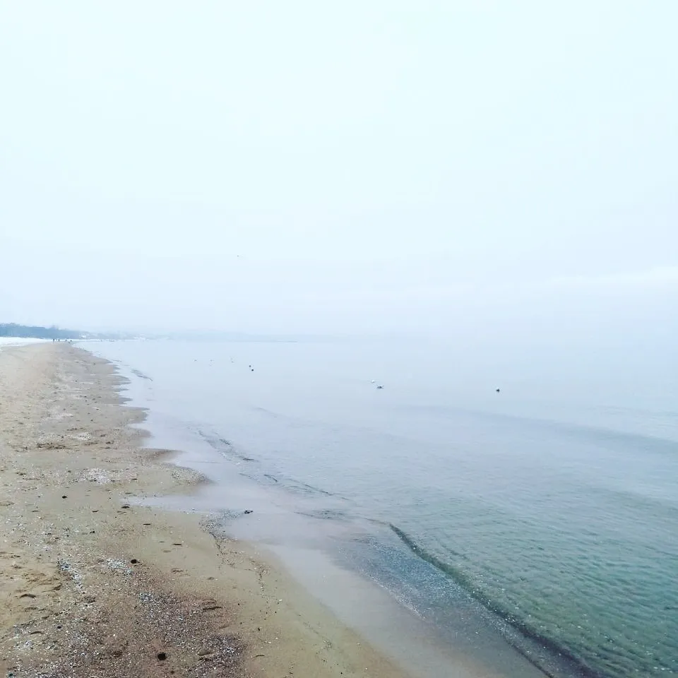af80777f-faad-4a56-abb0-3b381df447ab.jpeg