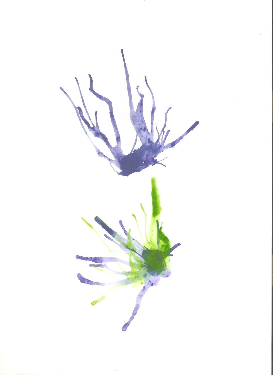 b5711767-cfda-4d14-900b-791f7c5d6c6b.jpeg