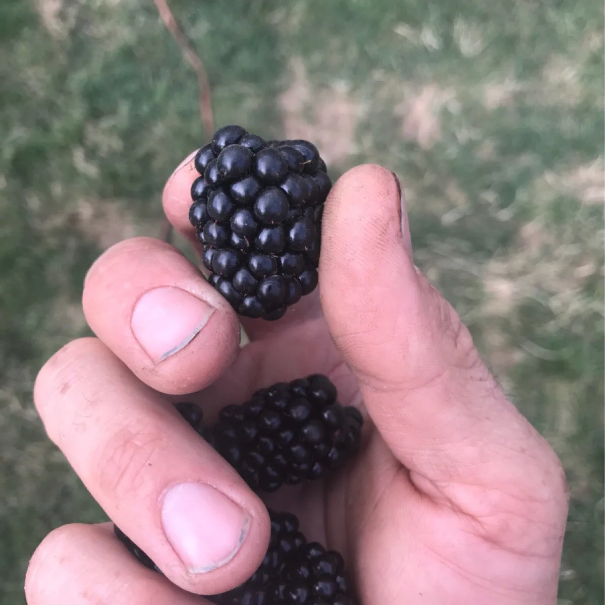 b9de2eba-62e9-4cf0-ac7f-48afd896d06e.jpeg