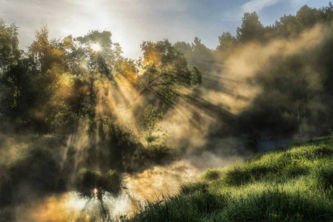 bd9d5360-fae4-46b6-8599-a16426200337.jpeg