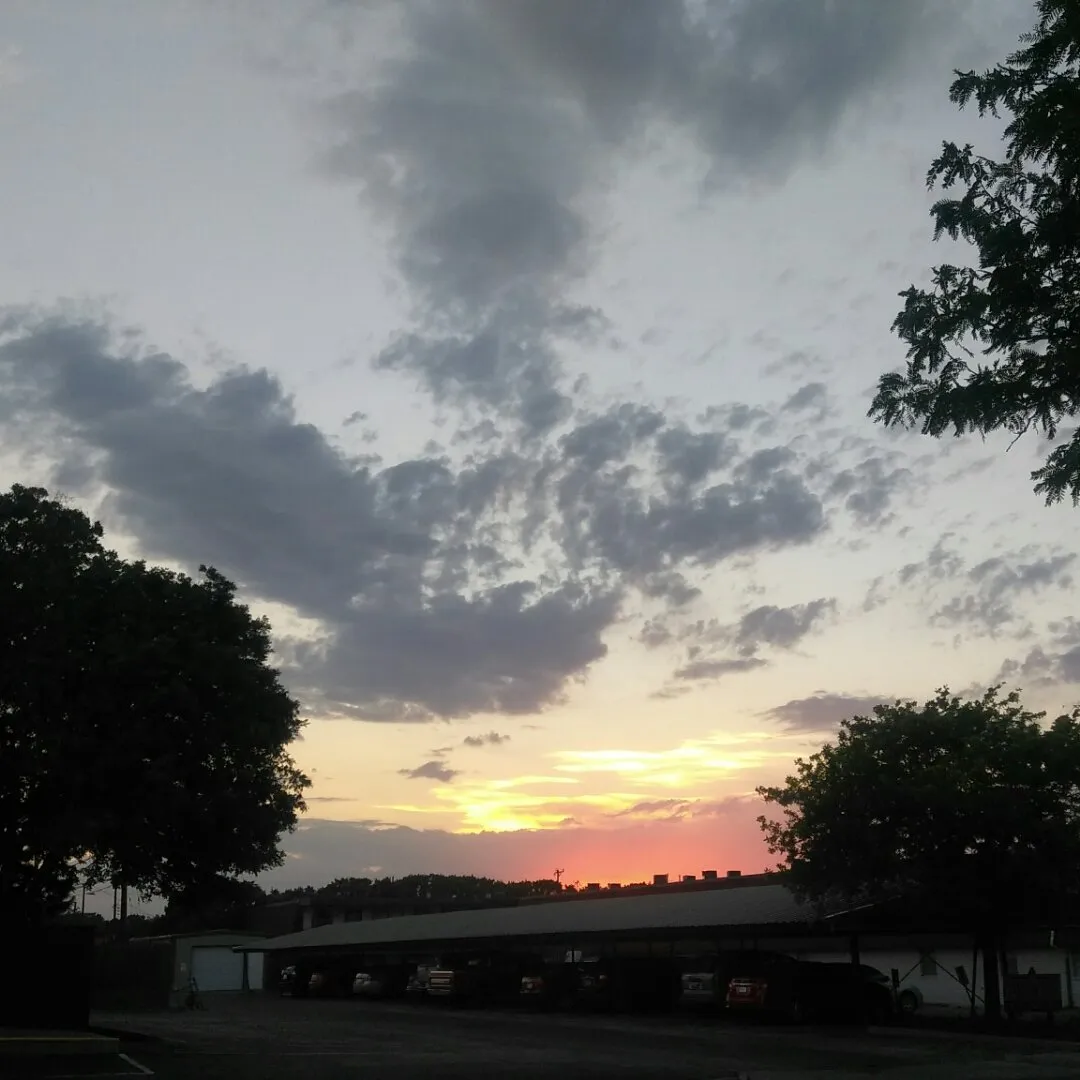 bdf6f023-a699-408f-b4e5-264cf972add6.jpeg