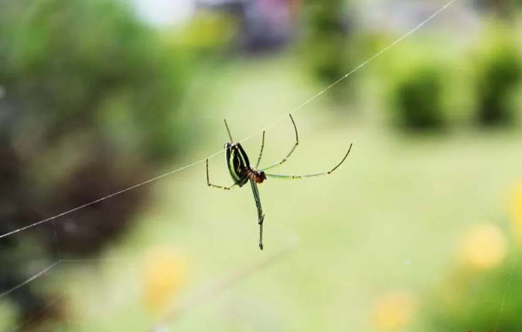 c27660dc-c677-47ed-81f9-ab5c2e8d0352.jpeg