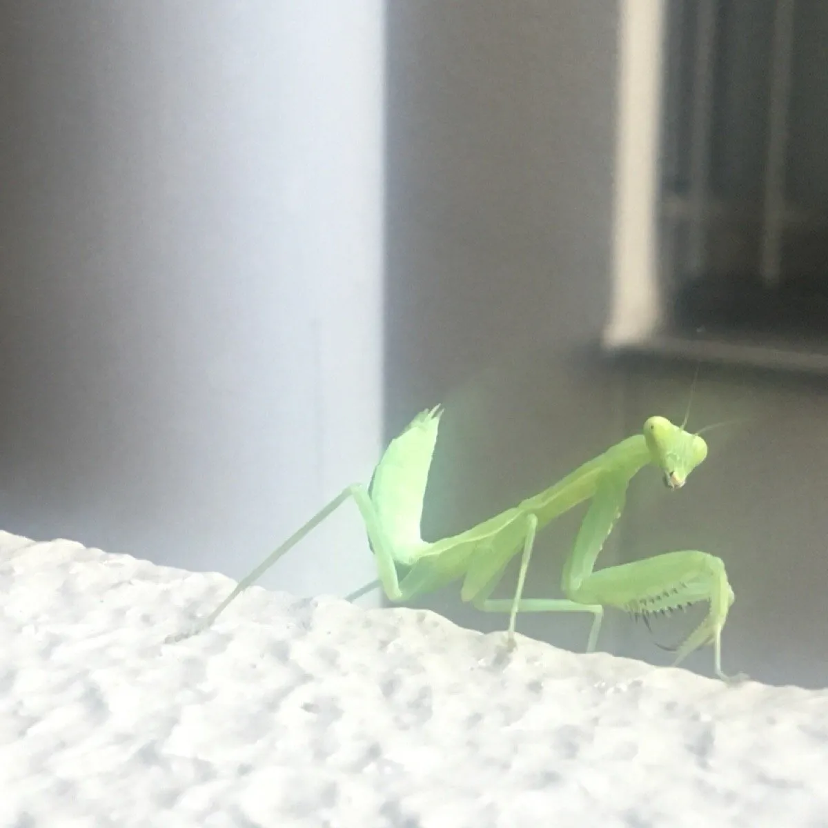 c49c17d1-424c-4c63-a0a0-c651372e46ad.jpeg