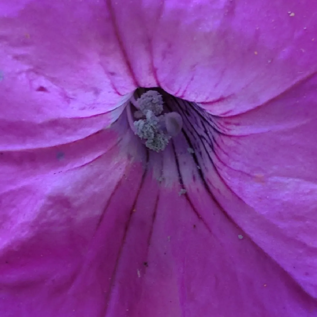 cf3475e2-55fc-49cb-8e31-fbca2e8ab4d4.jpeg