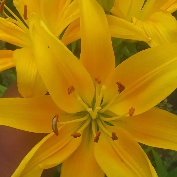 d1764c68-7f3d-45b6-b00e-f8803a2ec014.jpeg