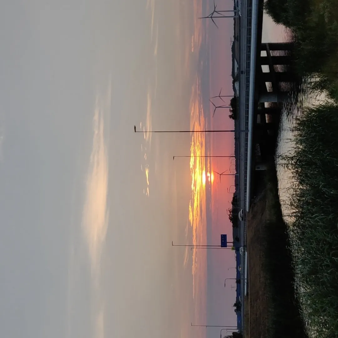 d213ea94-13cf-4c1b-8022-b160dced1242.jpeg