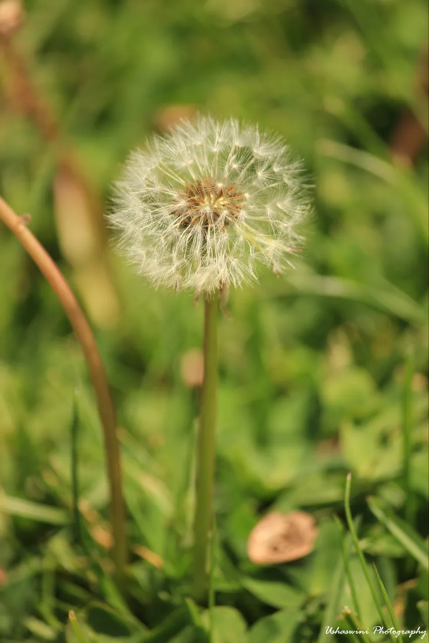 d30115a7-9b84-44d8-931f-42bb9e57bc19.jpeg