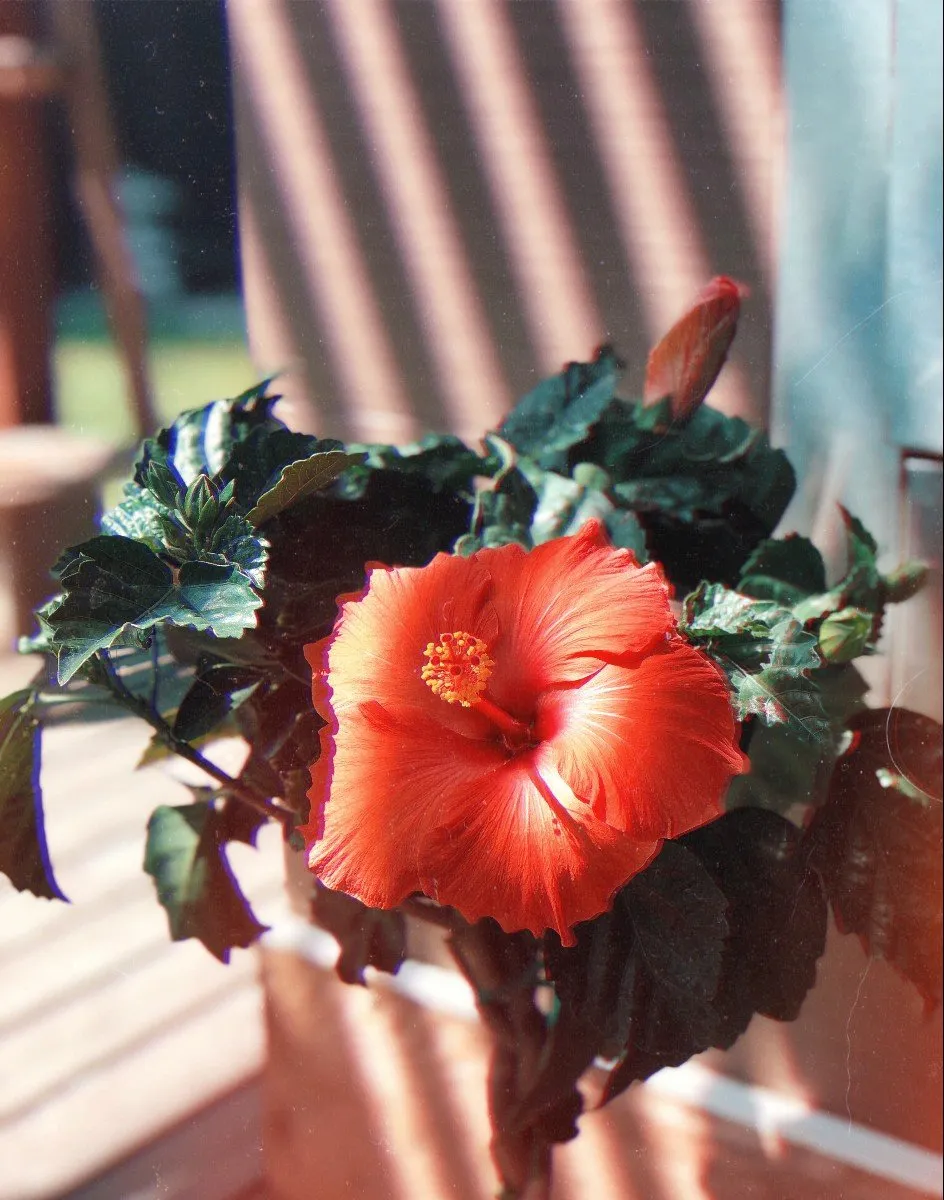 d451600c-baf1-4351-870d-78f65e986ea9.jpeg
