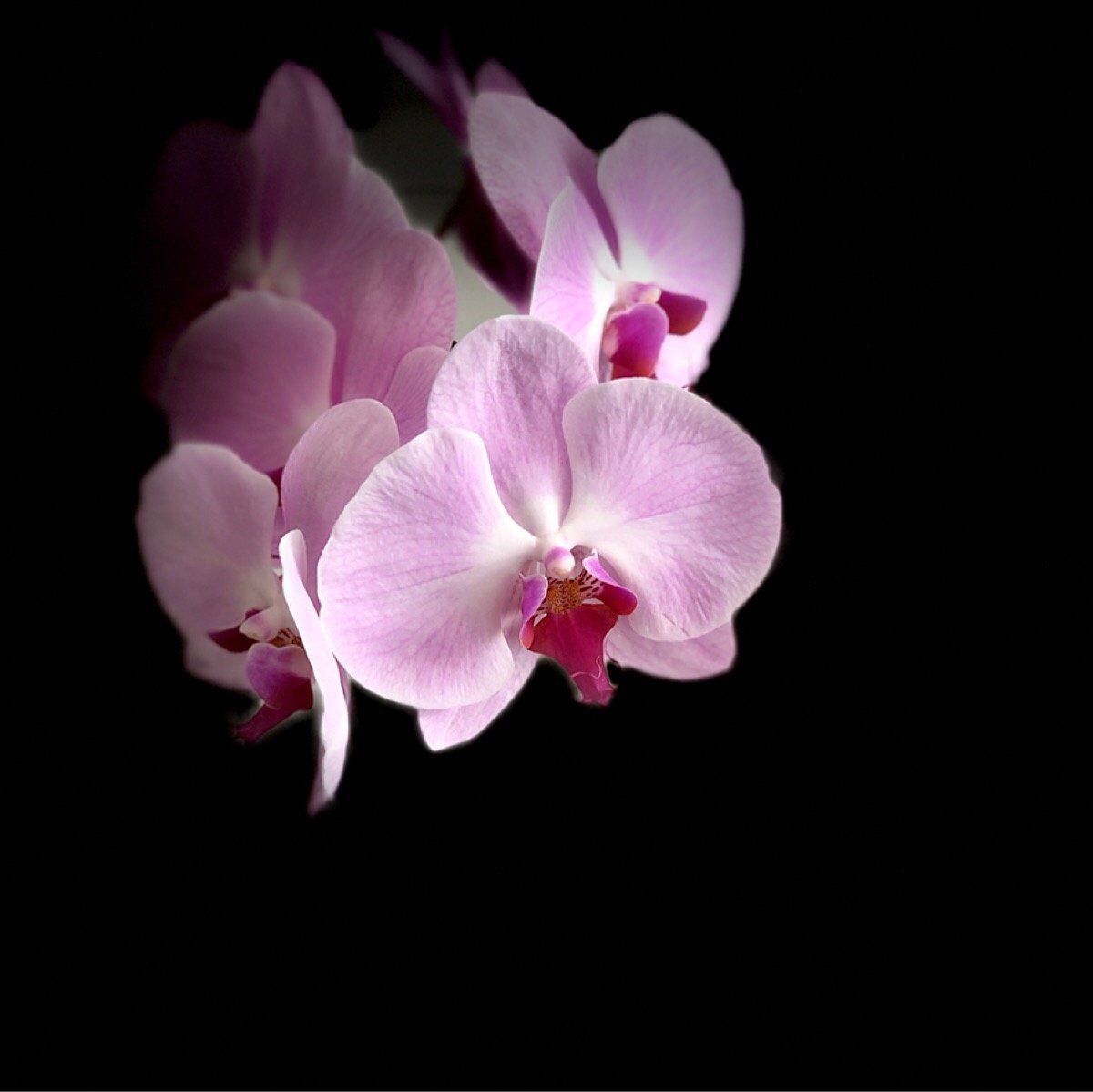 d7b93ca2-5cb4-490f-961d-b93c8e37655f.jpeg