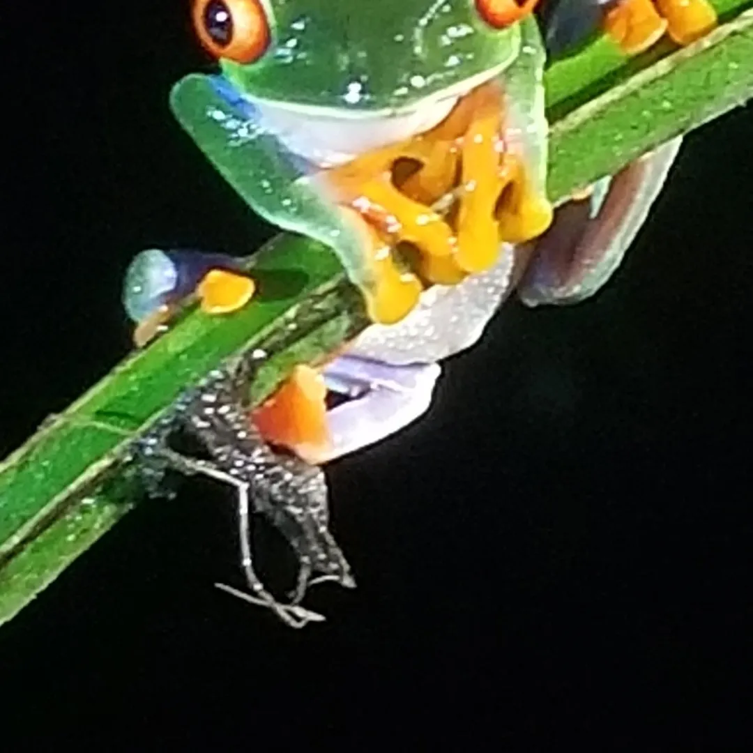 d9251483-2baa-4d83-ad51-421330120e60.jpeg