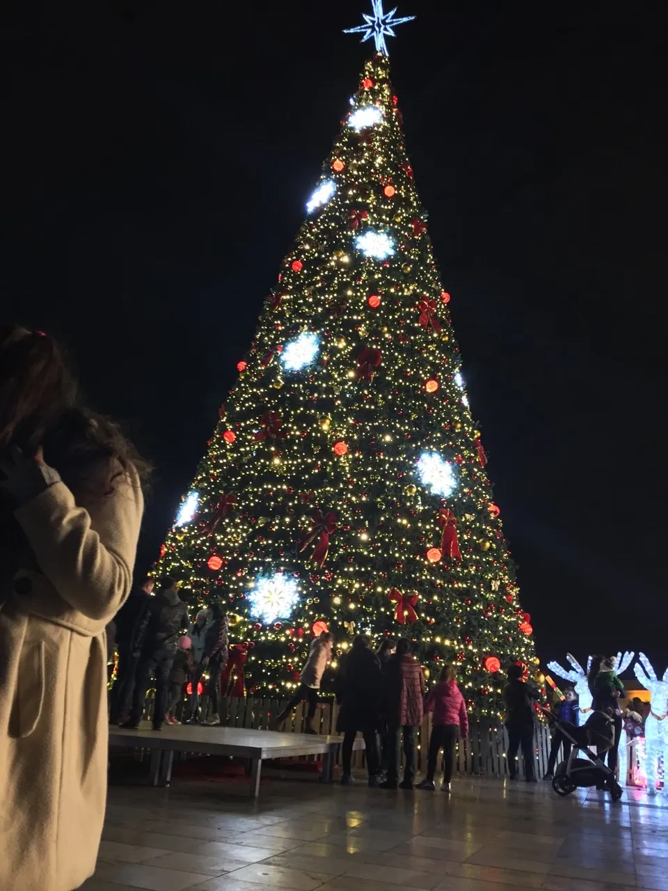d95ec882-fa0a-49cd-b12c-ede9d67a1ad0.jpeg