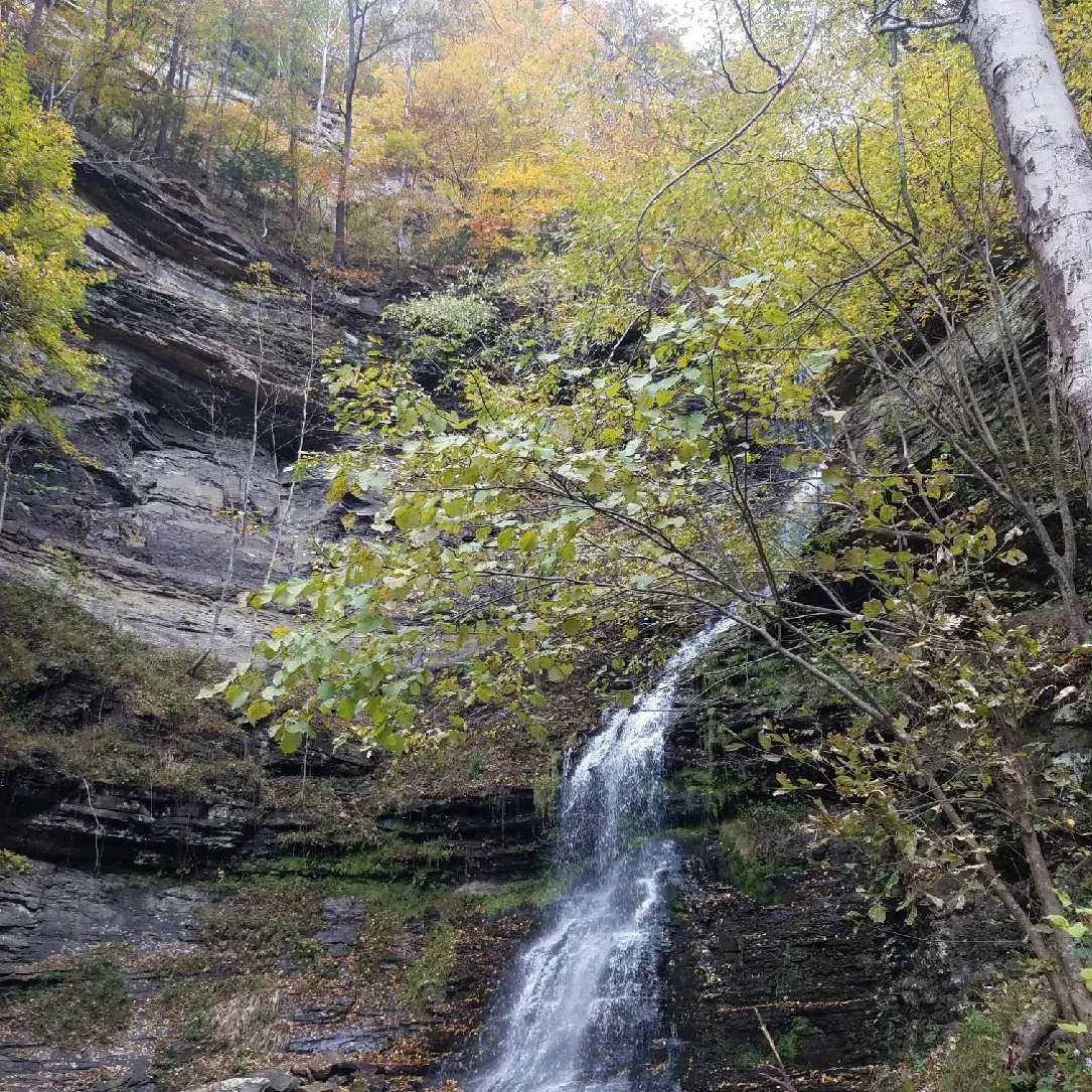 d9cda497-6c37-4469-a00f-4836dda5429e.jpeg