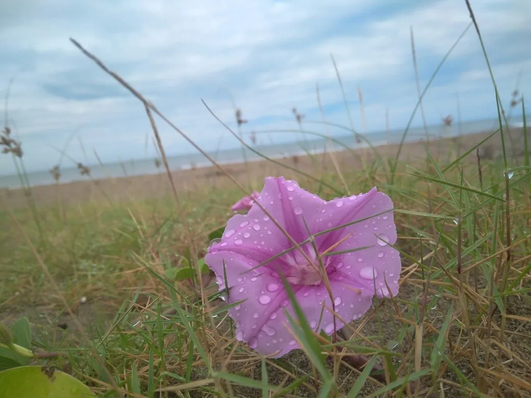 df940372-41d5-4117-a08d-8ba71e975feb.jpeg