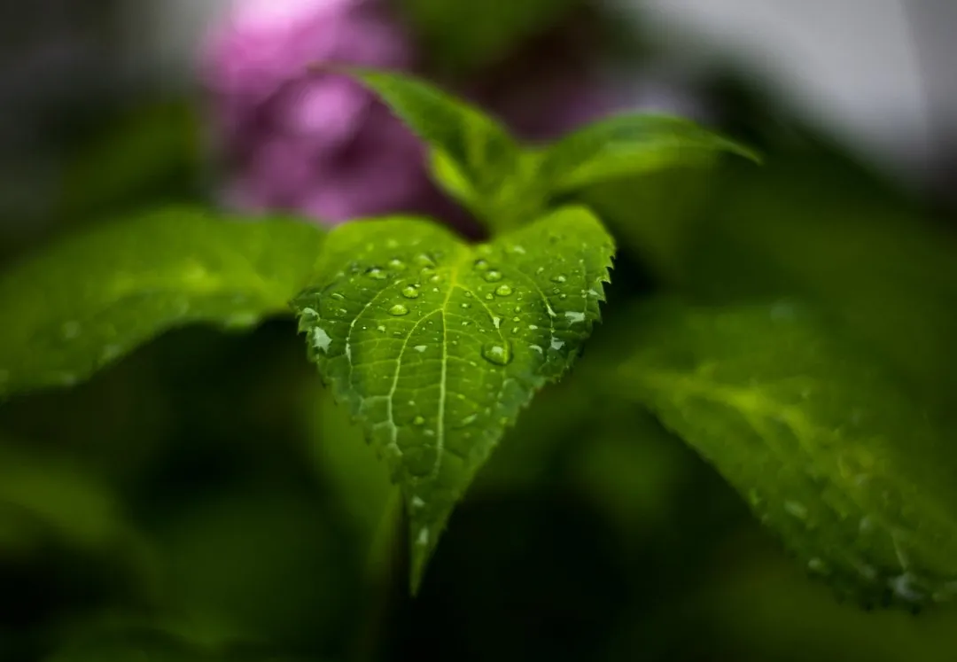 e559e92f-8d07-4af2-99ed-549065a42dd6.jpeg
