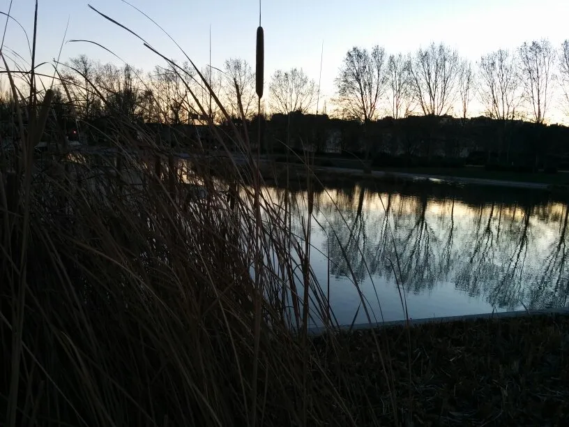 e79a61ac-abd6-43d1-aeaa-1939537019a6.jpeg