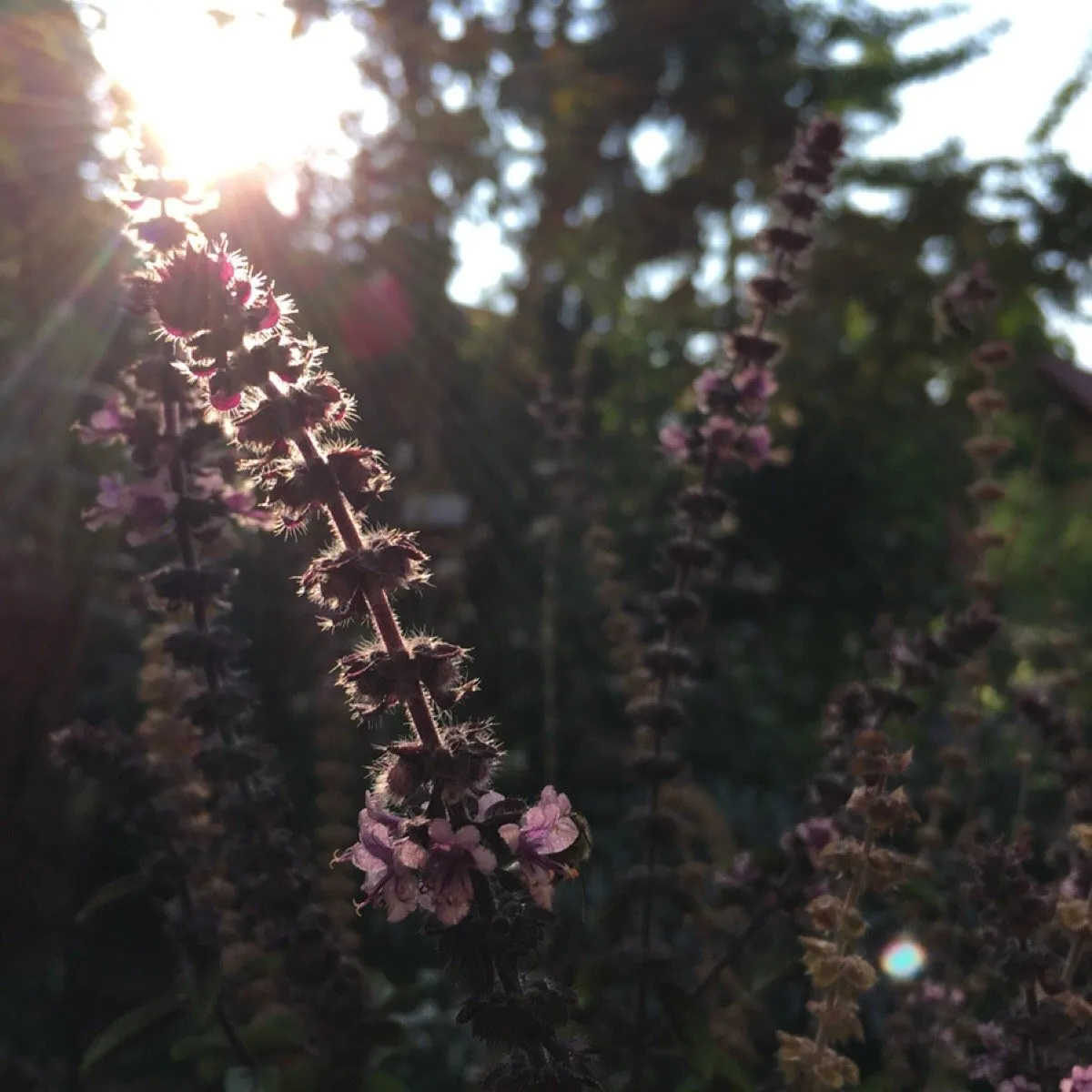 e8e27568-4e52-4b8e-8e89-0aa551ffc63f.jpeg