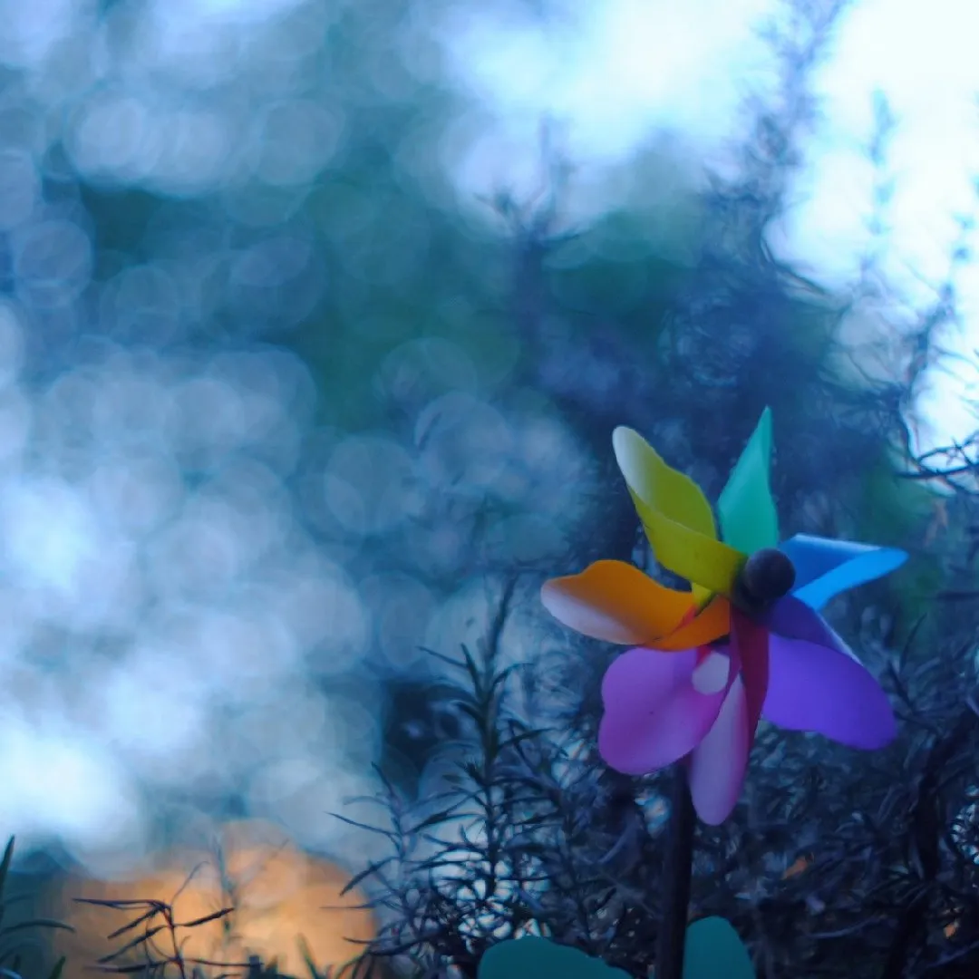 ecce737a-99bb-4bfa-9a8e-23825864b086.jpeg