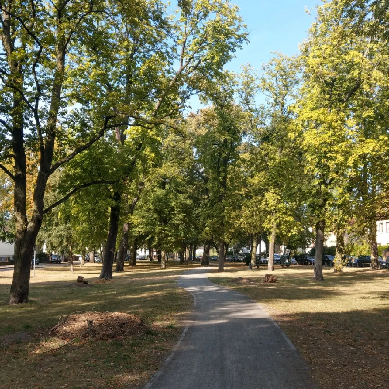 f10ecb9c-cfb9-45ee-a016-d57b130c93a2.jpeg