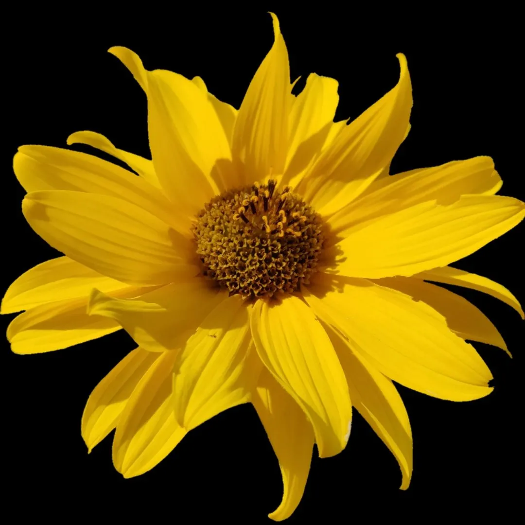 f7706a88-a9bb-41f3-84f9-5000467658ab.jpeg