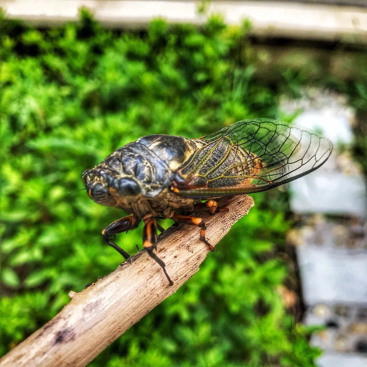 f79085db-ac79-44a8-92b0-b20016c5c544.jpeg