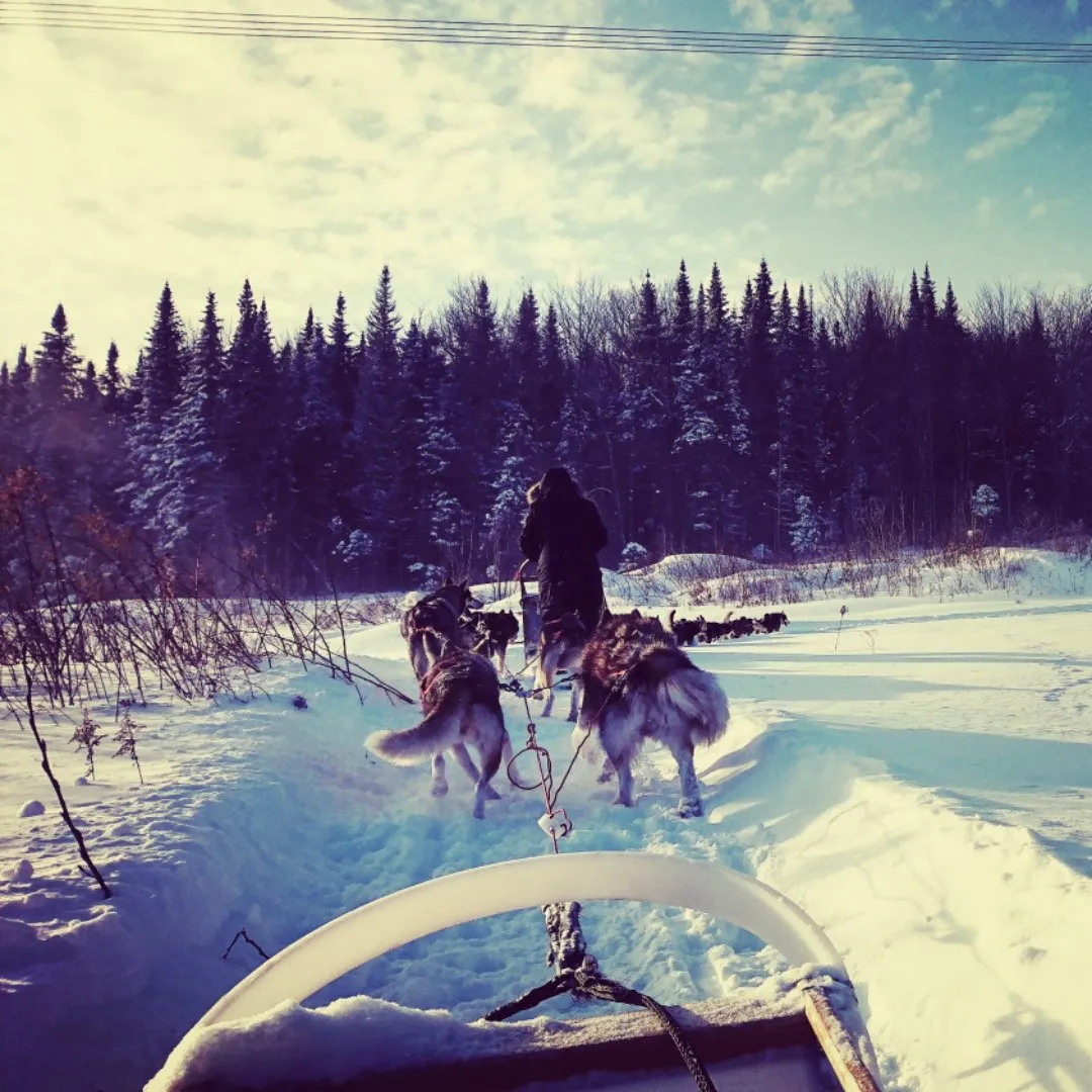 f7c52447-3c5c-4a6d-9079-eea928e6af3b.jpeg