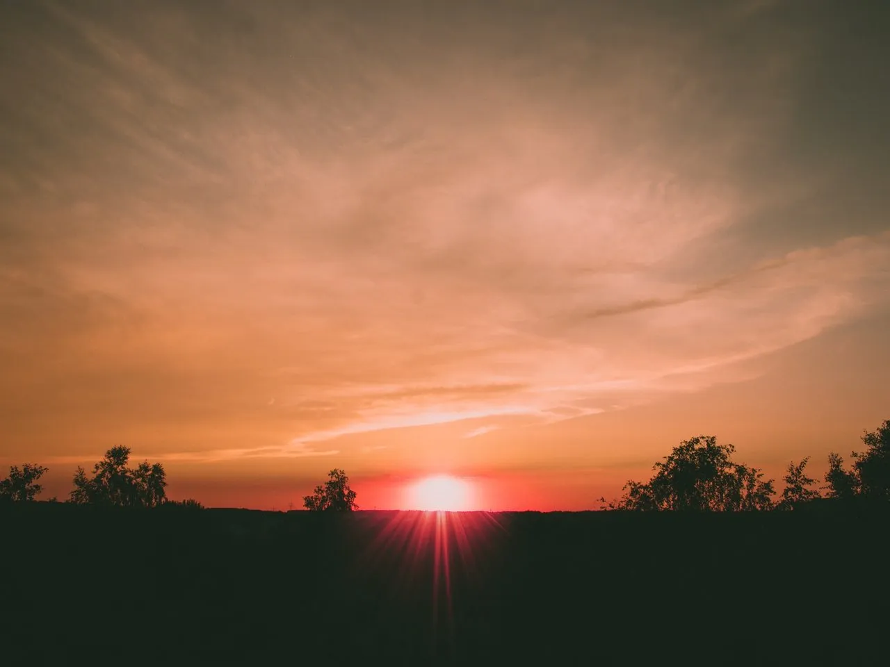 f7dc1a5d-b7df-464a-a551-92d7011495e7.jpeg
