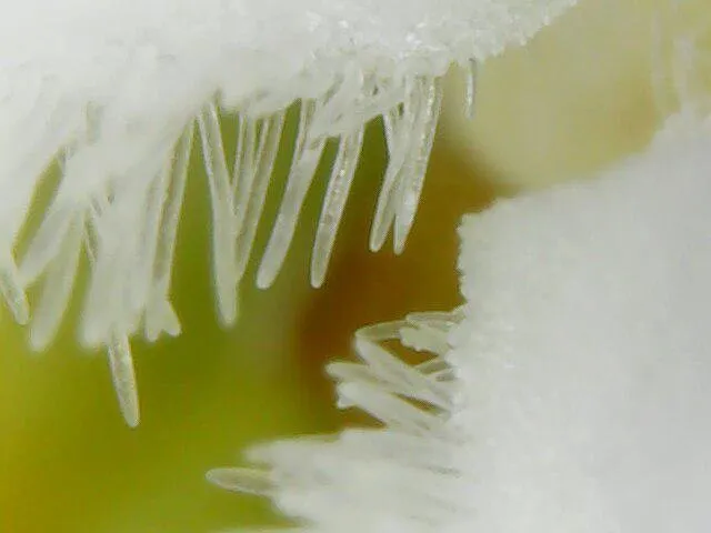 f938f787-1557-46ed-9731-384c1024936c.jpeg