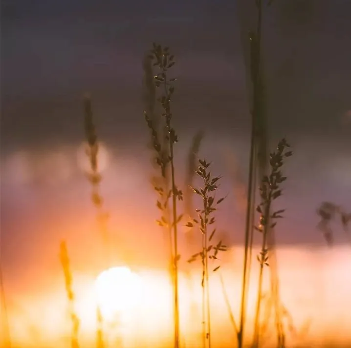 fa055c61-1196-4f54-87c1-ba5521fc2837.jpeg
