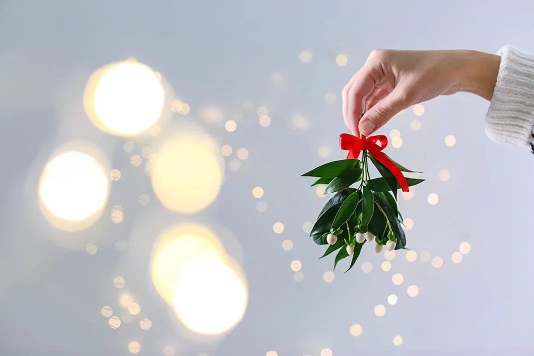 Tis the Season: Mistletoe Offers a Rich History as Medicine - Today's RDH