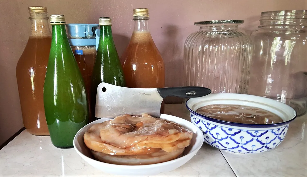 Scoby1 2.jpg